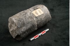 Foto (Seitenansicht) von Calamites communis Ettingshausen (NHMW-GEO-2024-0188-10964)